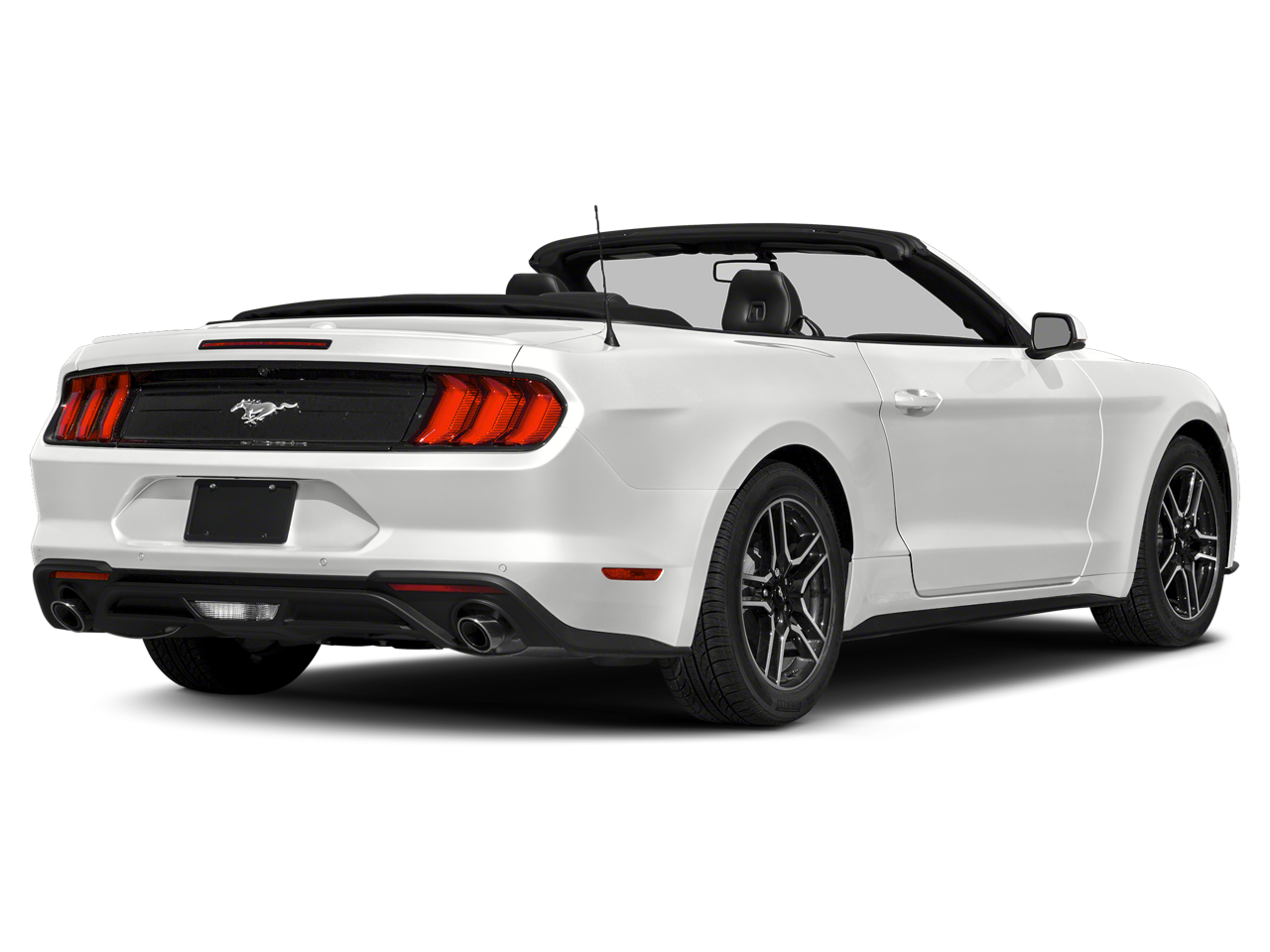Used 2019 Ford Mustang EcoBoost Premium with VIN 1FATP8UH3K5123231 for sale in Kansas City