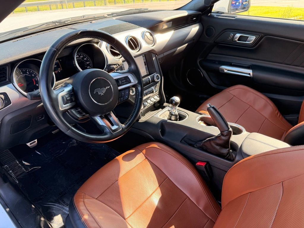 Used 2019 Ford Mustang EcoBoost Premium with VIN 1FATP8UH3K5123231 for sale in Kansas City