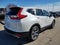 2019 Honda CR-V EX-L AWD