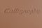 2027 Hyundai PALISADE Calligraphy